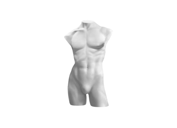 Торс мужской удлинённый